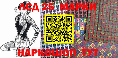 spice Новодвинск