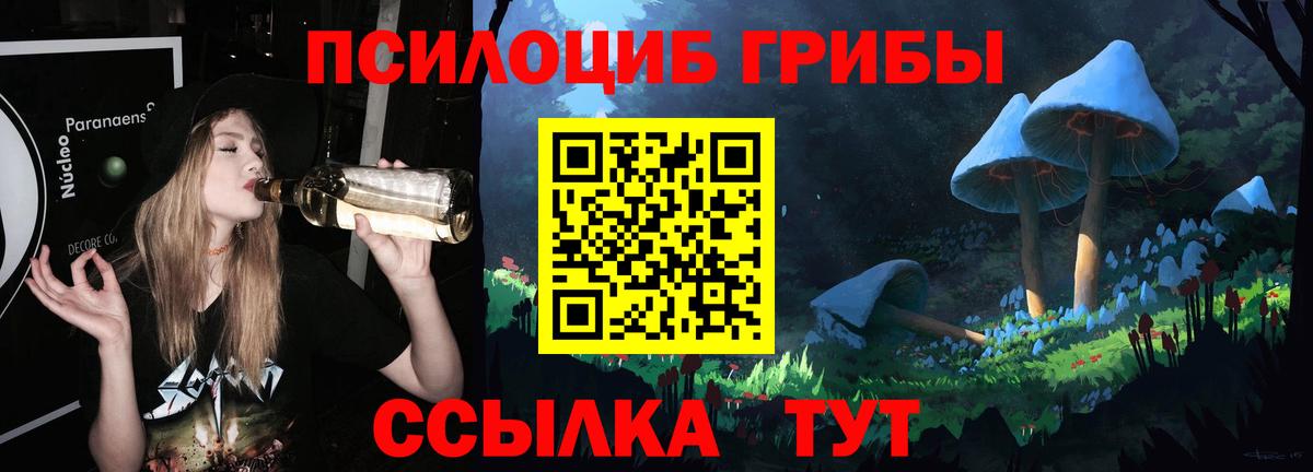 Бутурлиновка  как найти   Вход с VPN  Псилоцибиновые грибы мухоморы 